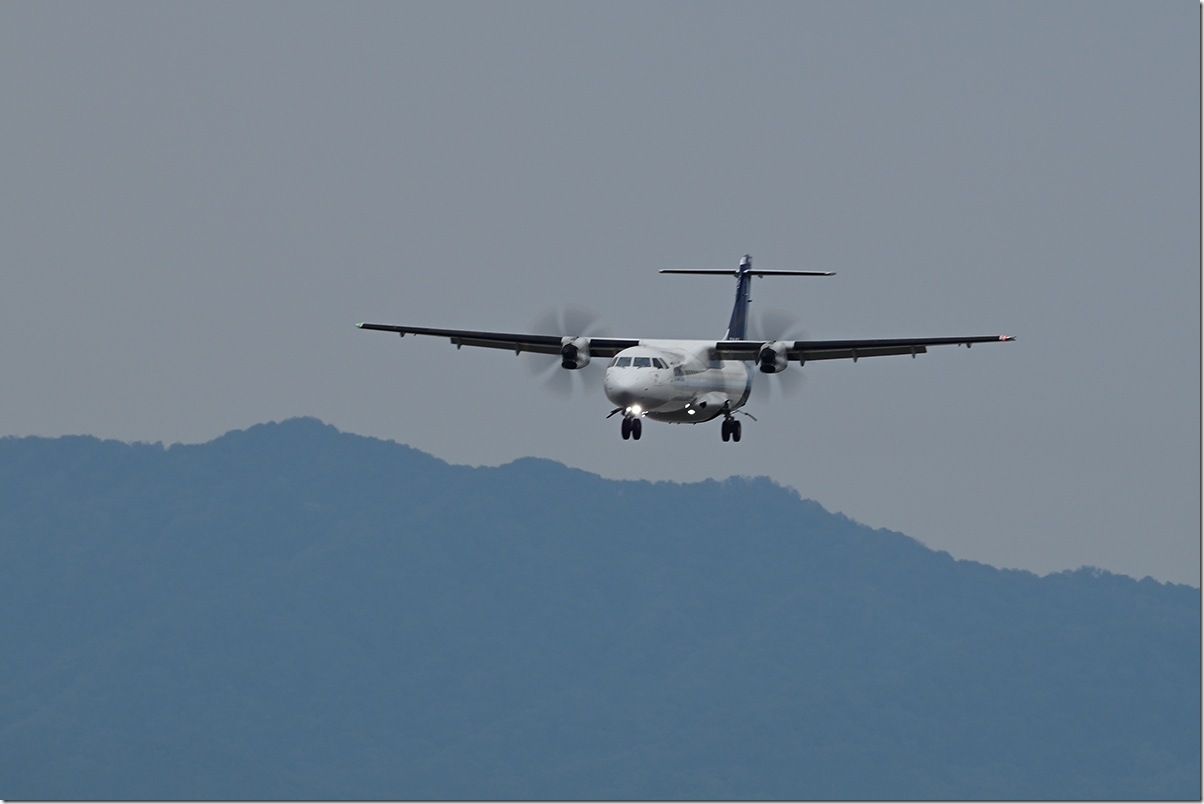 Z8M_8995_blog