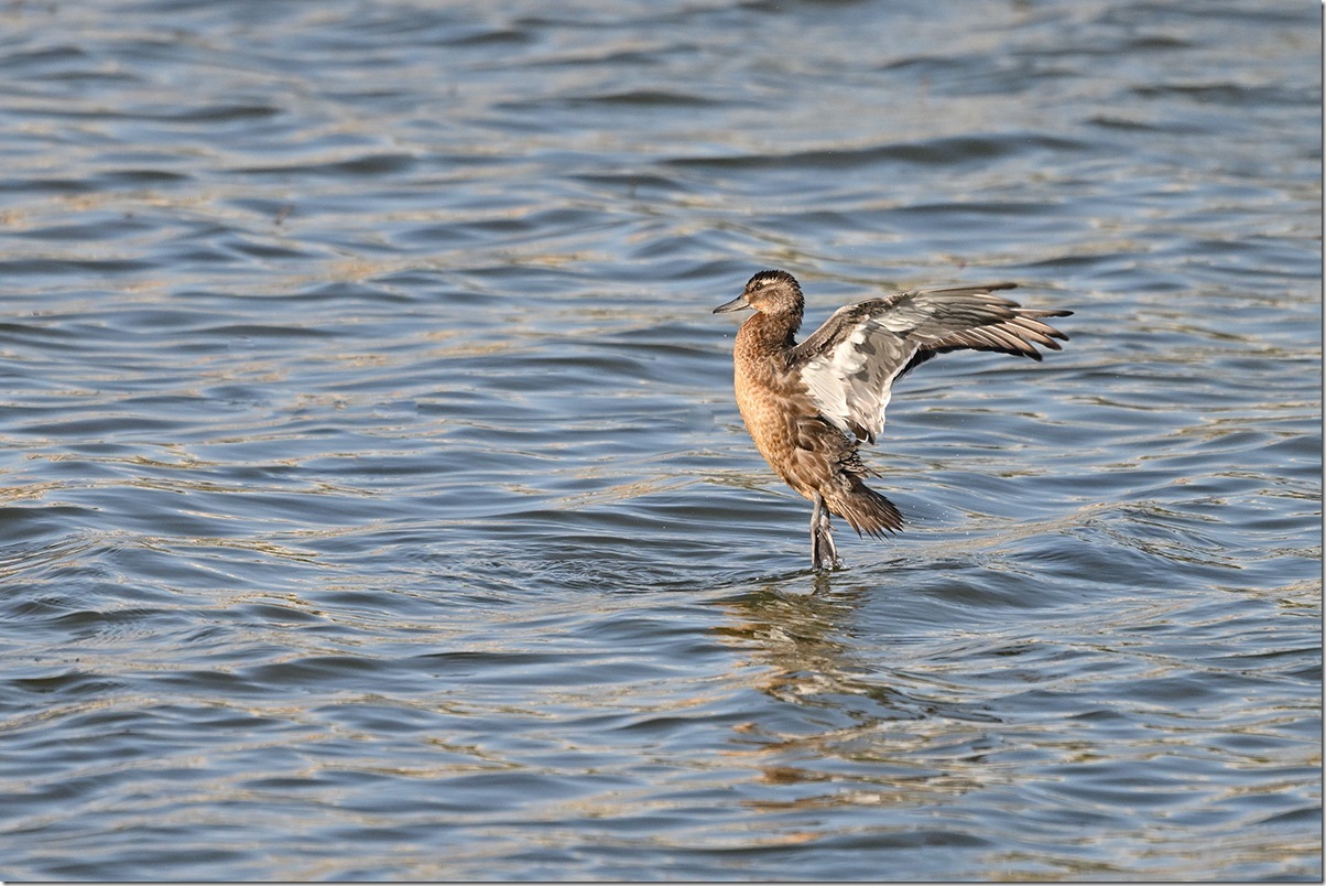 Z9M_0913_blog