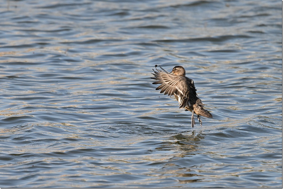 Z9M_0914_blog