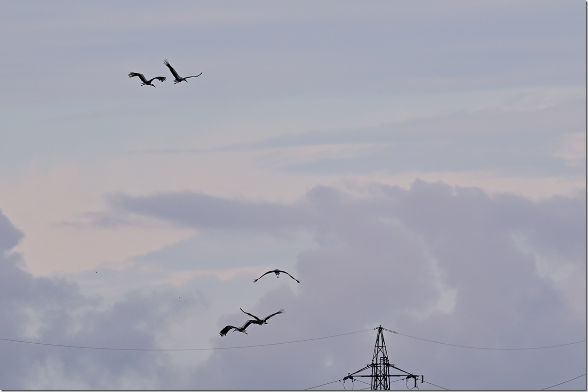 Z8M_2342_blog Z8M_2342_blog