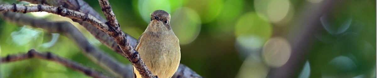 Z8M_6179_blog_thumb-1