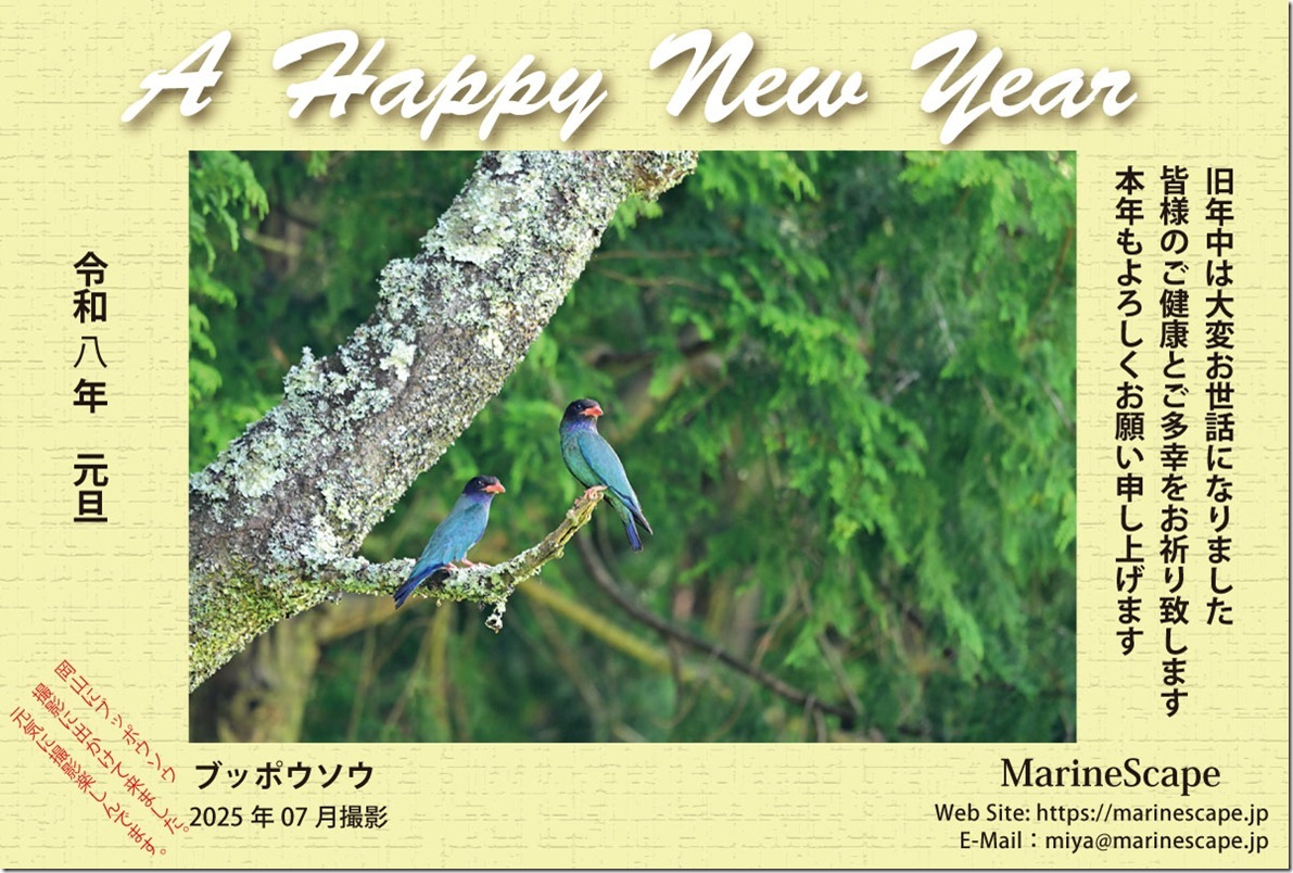 年賀ハガキ-2026-44