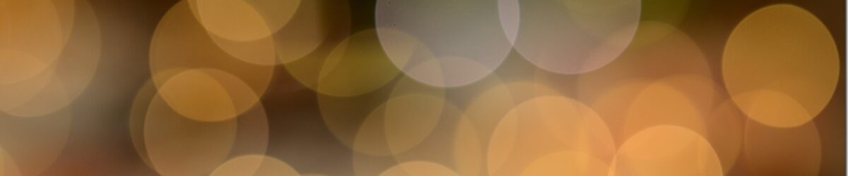 Z5M_4155_blog_thumb-1