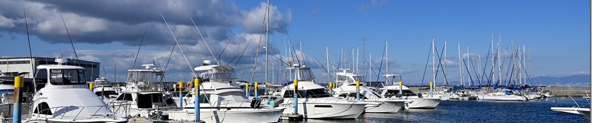 Z8M_9455_blog_thumb-1