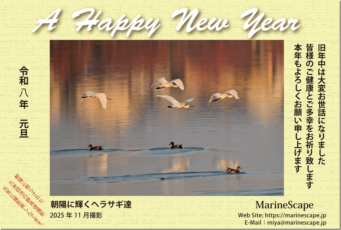 年賀ハガキ-2026-55