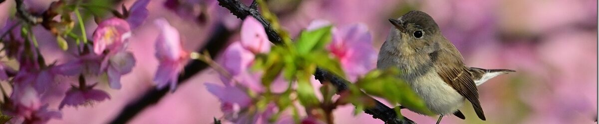 Z8M_1424_blog_thumb-1